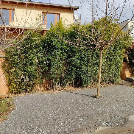 Le Cosy Du Plongeoir - T2 Neuf Avec Vue Sur Le Lac De Serre Poncon Et Grande Terrasse Avec Jardin Савин Экстерьер фото